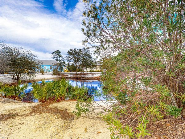 Alabama Beach Areas Home 1013850