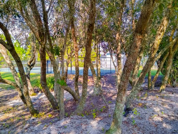 Alabama Beach Areas Home 1013855