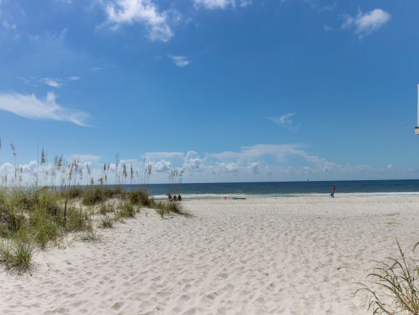 Alabama Beach Areas Home 1013859