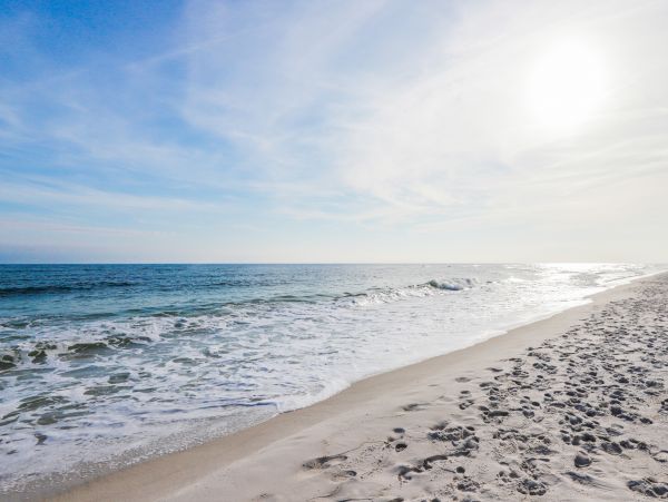 Alabama Beach Areas Home 1013876