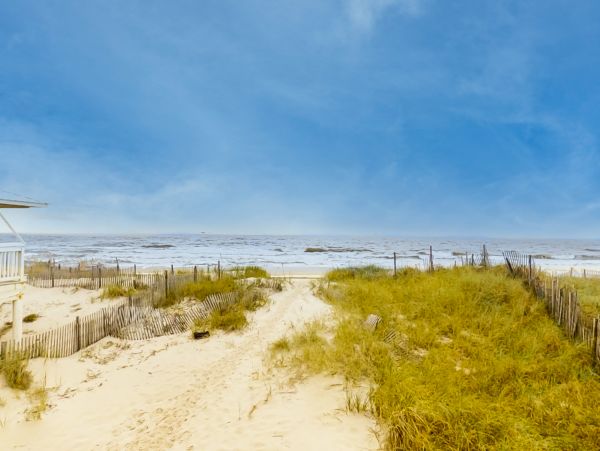 Alabama Beach Areas Home 1013880