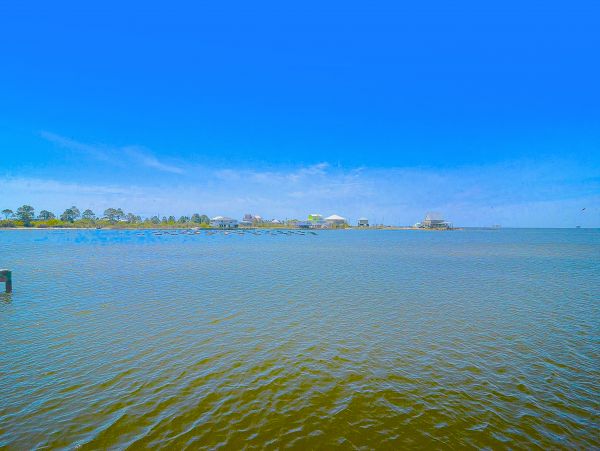 Alabama Beach Areas Home 1013888