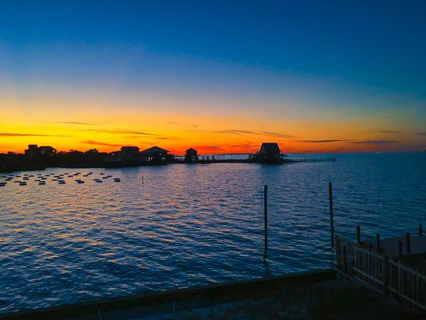 Alabama Beach Areas Home 1013888
