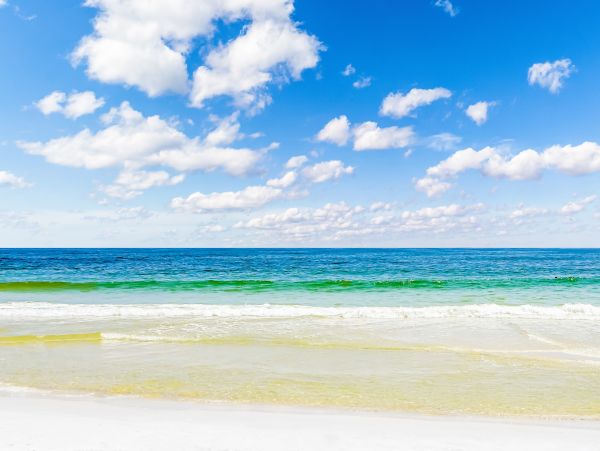 Alabama Beach Areas Home 1013891