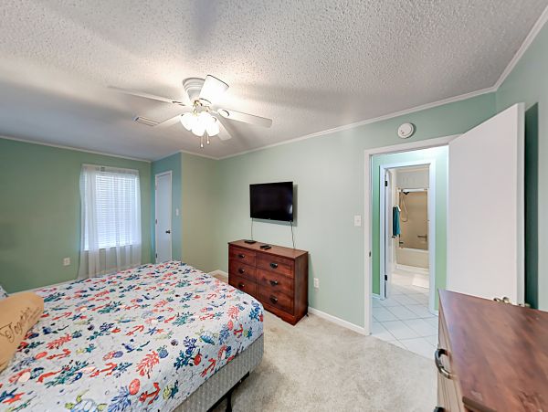 Alabama Beach Areas Home 1013897