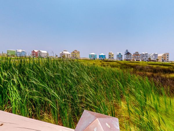 Alabama Beach Areas Home 1013910