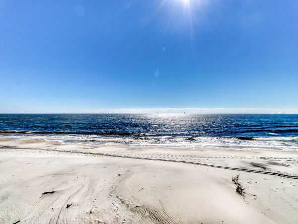 Alabama Beach Areas Home 1013973