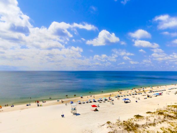 Alabama Beach Areas Condo 1013980
