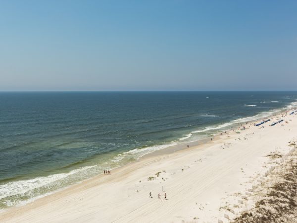 Alabama Beach Areas Home 1013987