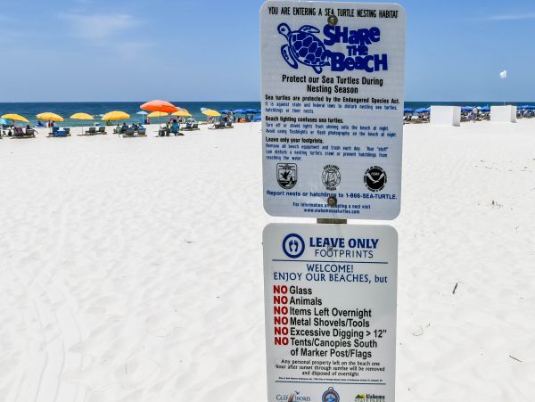 Alabama Beach Areas Home 1014003