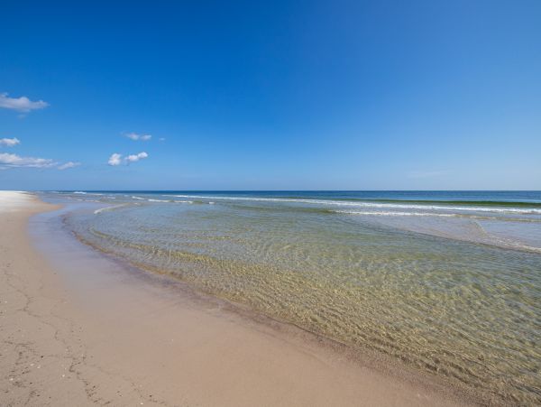 Alabama Beach Areas Home 1014004