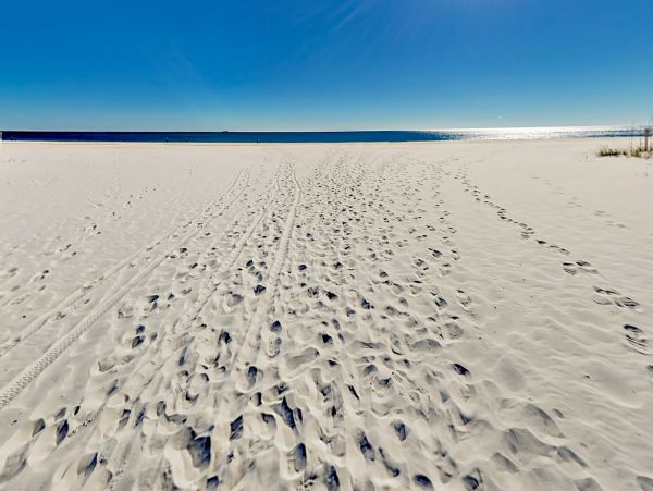 Alabama Beach Areas Home 1014016