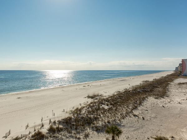 Alabama Beach Areas Home 1014023