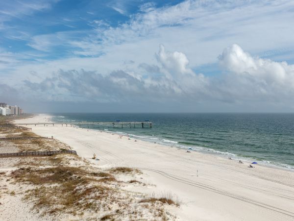Alabama Beach Areas Home 1014038