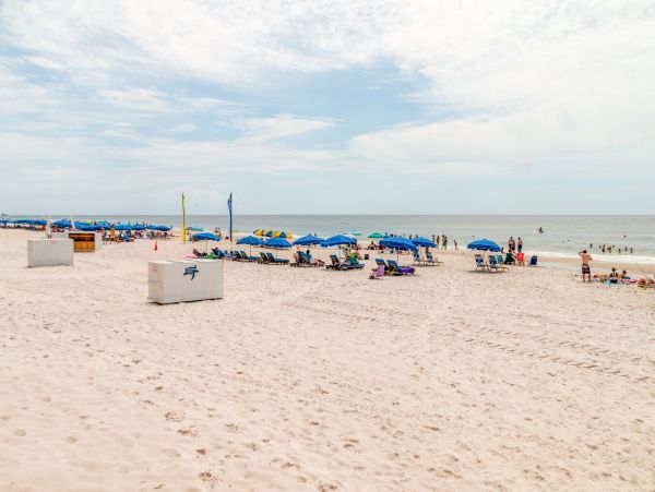 Alabama Beach Areas Home 1014039