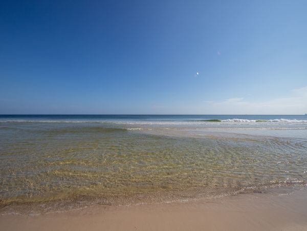 Alabama Beach Areas Home 1014040