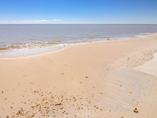 Alabama Beach Areas Home 1014064