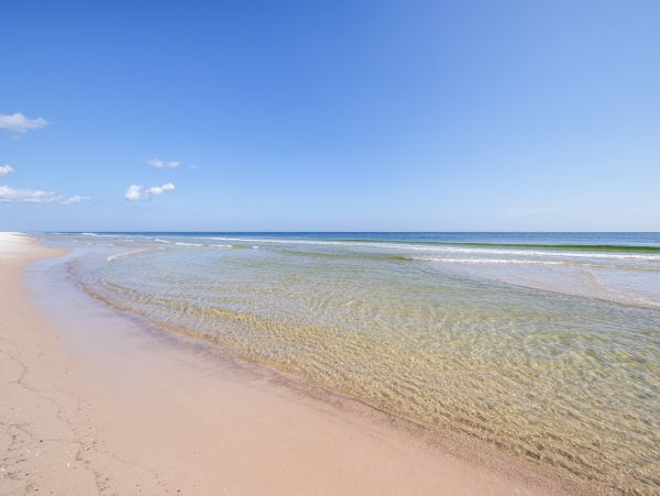Alabama Beach Areas Home 1014089