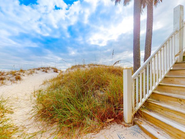 Alabama Beach Areas Home 1014102