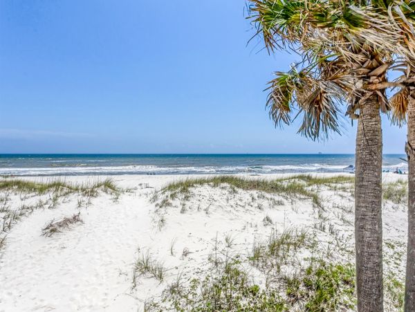 Alabama Beach Areas Home 1014102