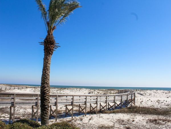 Alabama Beach Areas Home 1014110