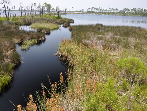 Alabama Beach Areas Home 1014118