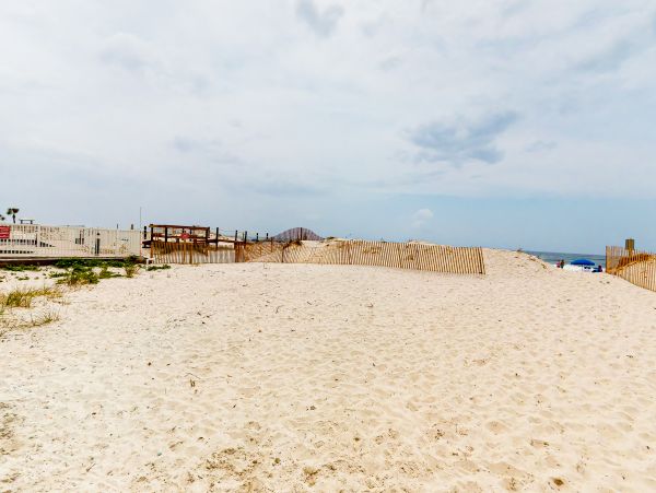 Alabama Beach Areas Home 1014143