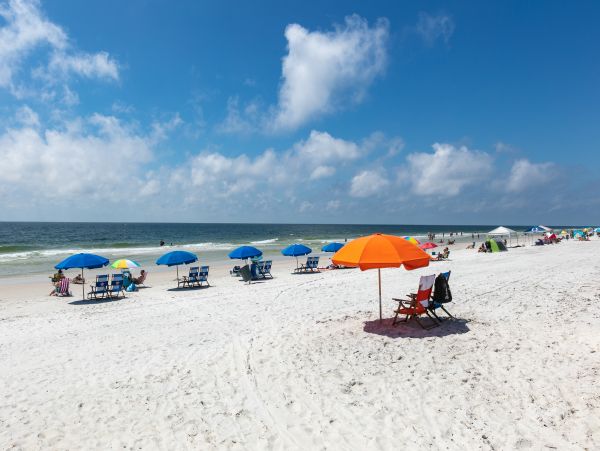 Alabama Beach Areas Home 1014158