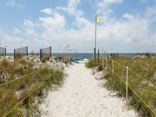 Alabama Beach Areas Home 1014158