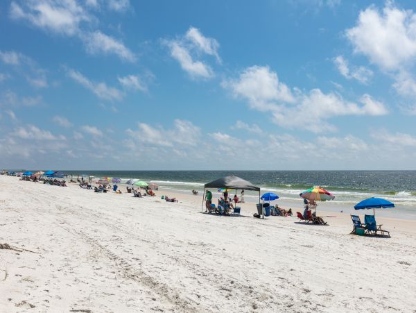 Alabama Beach Areas Home 1014158