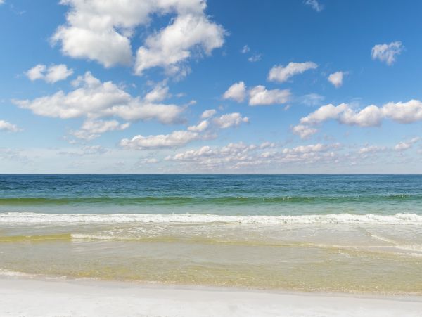 Alabama Beach Areas Home 1014187