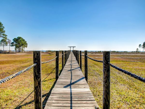 Alabama Beach Areas Home 1014188