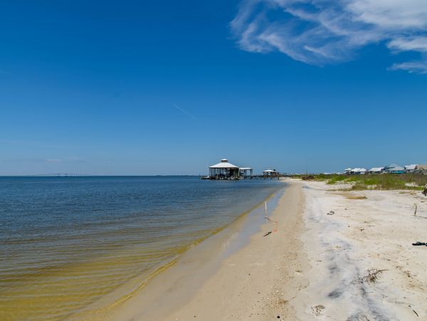 Alabama Beach Areas Home 1014193