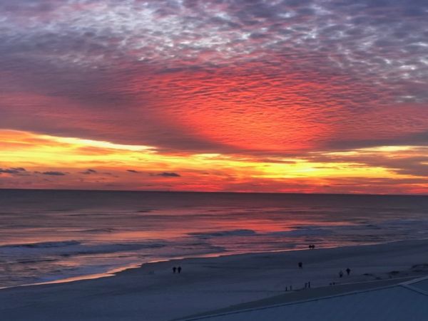 Alabama Beach Areas Home 1014200