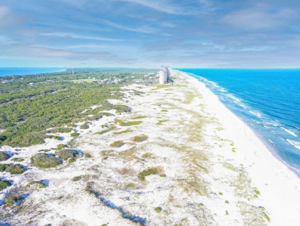 Alabama Beach Areas Home 1014203