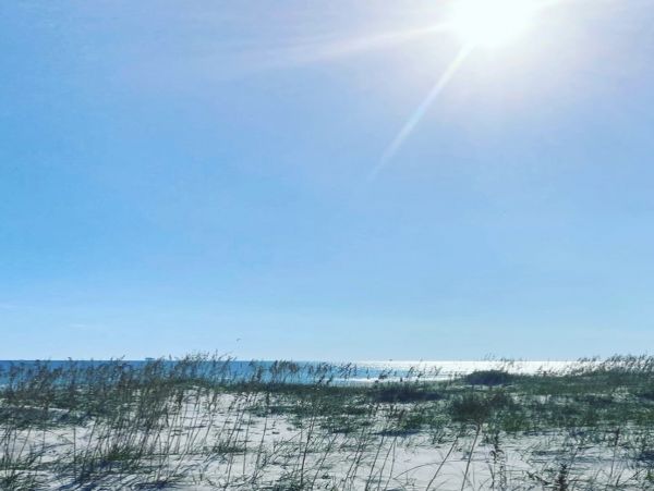 Alabama Beach Areas Home 1014237