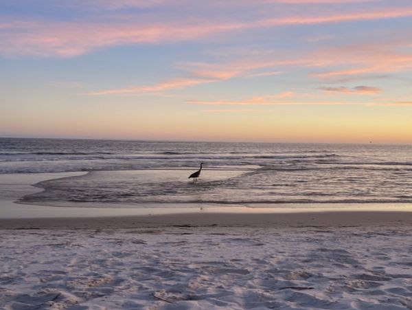 Alabama Beach Areas Home 1014237