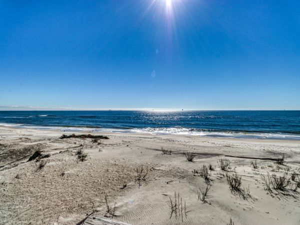 Alabama Beach Areas Home 1014241