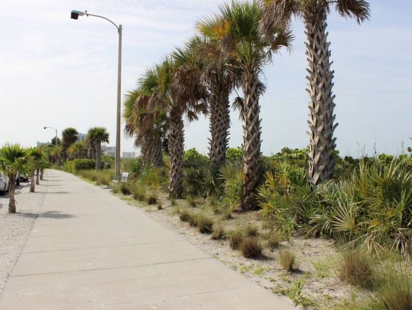 Walk to Lido Beach and St Armsnds Circle