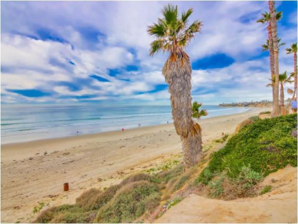 Mission Beach And Pacific Beach Condo 1014336