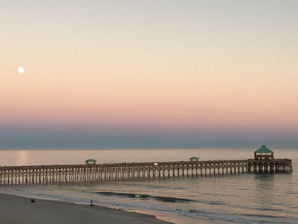 Folly Beach Condo 1014527