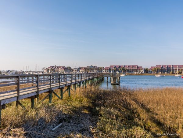 Folly Beach Condo 1014541