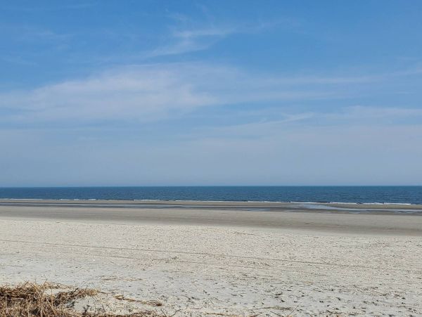 Hilton Head Home 1014700