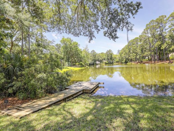 Modern Dog-Friendly Escape in Hilton Head