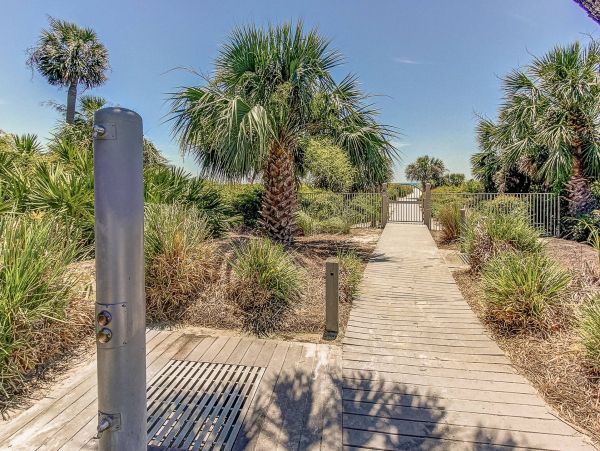 Hilton Head Condo 1014952