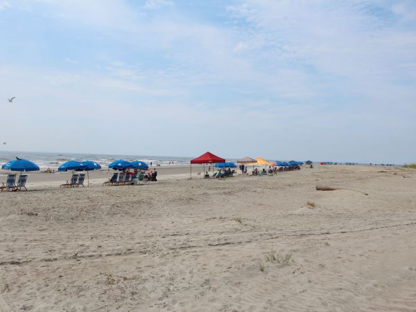 Isle Of Palms Condo 1015091