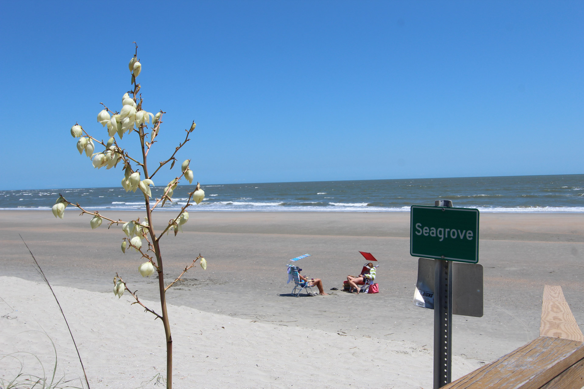 Isle Of Palms Condo 1015102
