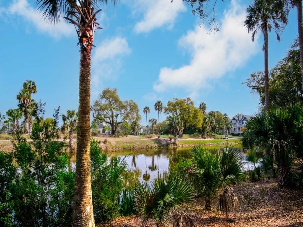 Isle Of Palms Home 1015139