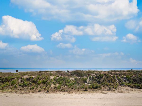 Isle Of Palms Condo 1015147