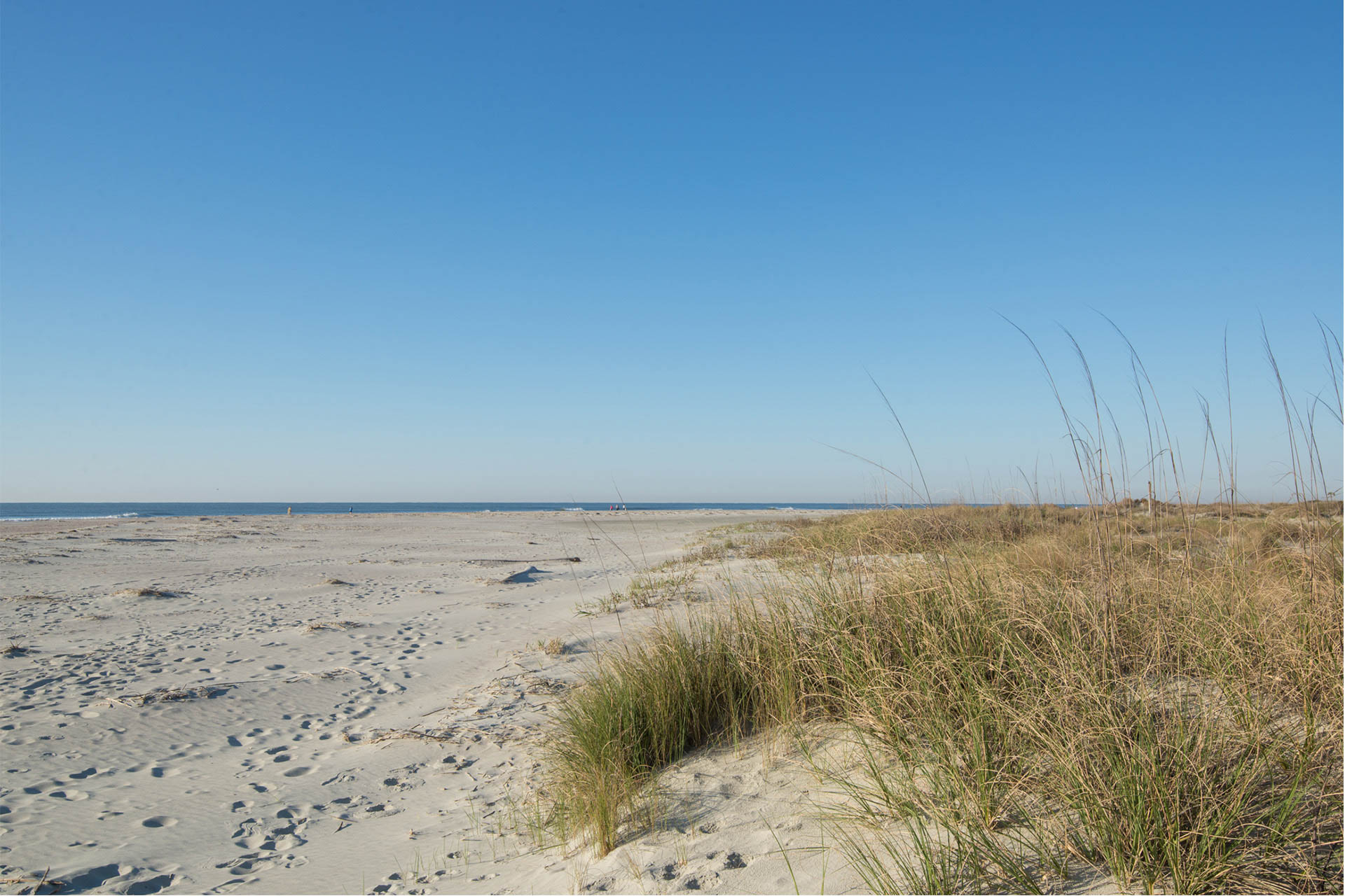 Isle Of Palms Condo 1015148